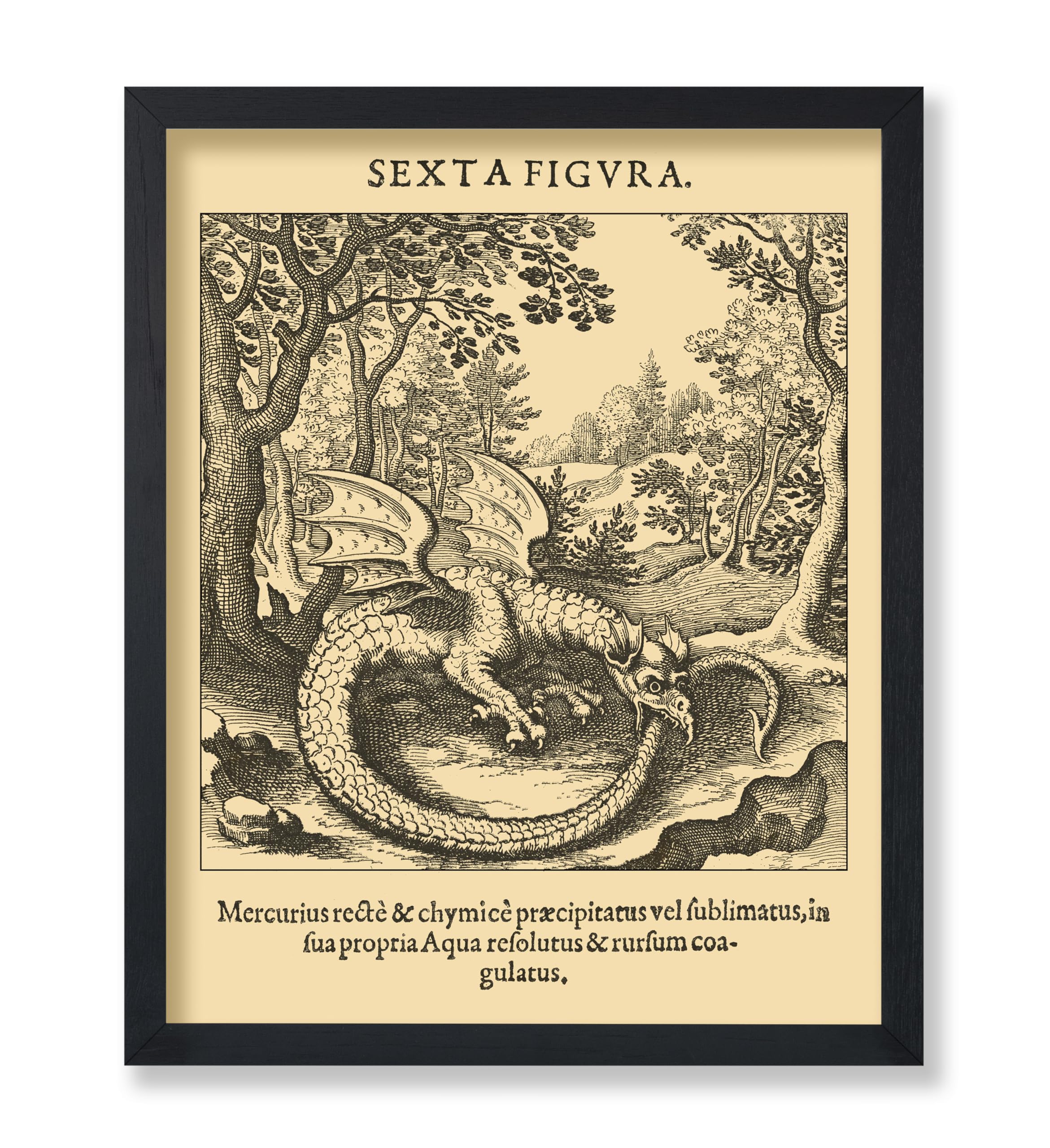 Amazon.com: Poster Master Vintage Ouroboros Poster - Retro Sexta